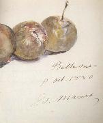 Edouard Manet Lettre avec trois prunes (mk40) France oil painting reproduction